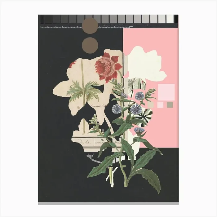 The First Plant � Botanical Bc Canvas Print by Marko Koeppe