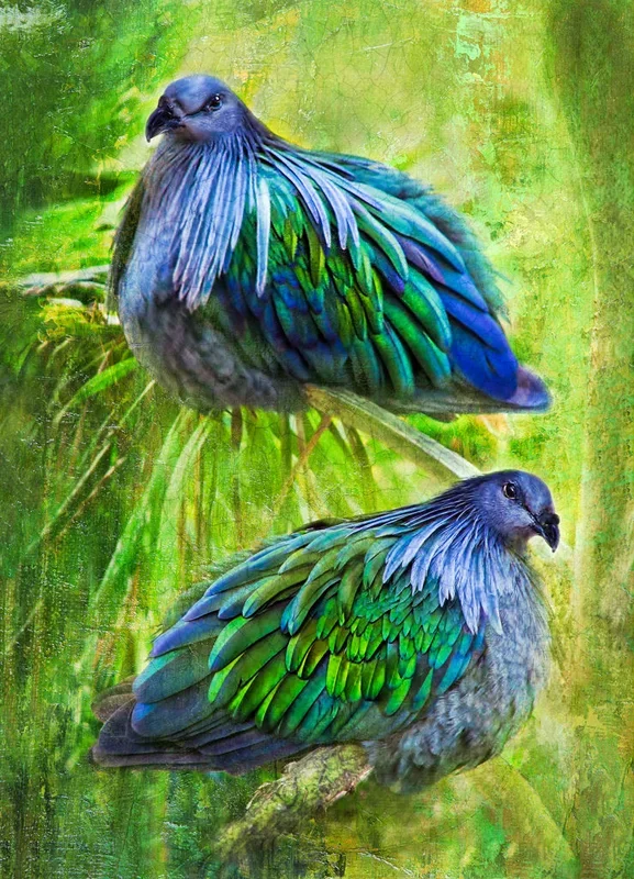 Tropical Gems – Large