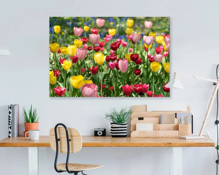 Tulip Meadow Canvas Wall Art