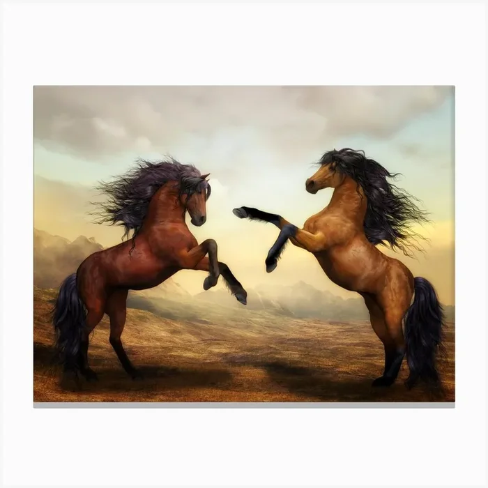 Two Horses Fighting Canvas Print by Henry Zachary