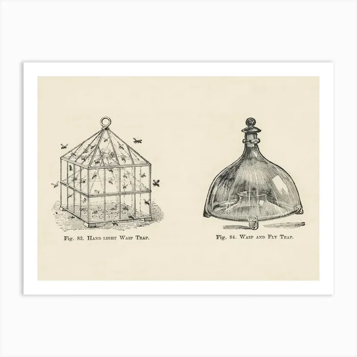 Vintage Illustration Of A Wasp Trap, John Wright Art Print by Fy! Classic Art Prints and Posters