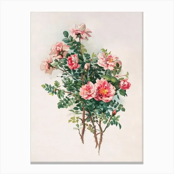 Vintage Roses Canvas Print by Fy! Classic Art Prints and Posters