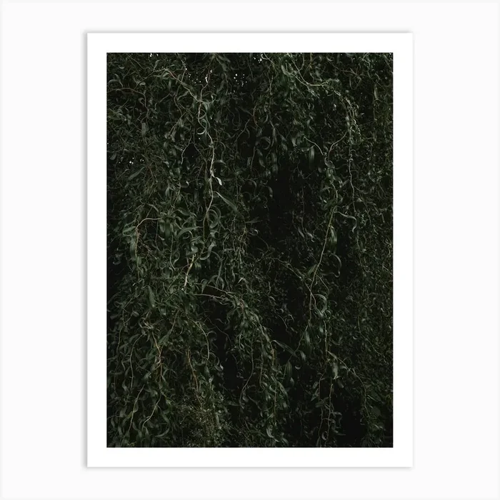 Wall Of Green Branches And Leaves Art PrintML by Michael Lomiya
