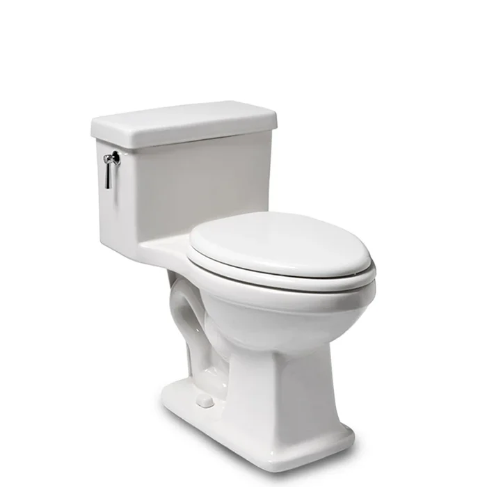 Waterworks Alden One Piece High Efficiency Elongated Watercloset in Bright White with Slow Close Plastic Seat and Chrome Flush Lever