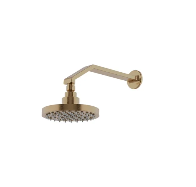 Waterworks Formwork Wall Mounted 6 ” Rain Shower Head, Arm and Flange in Brass