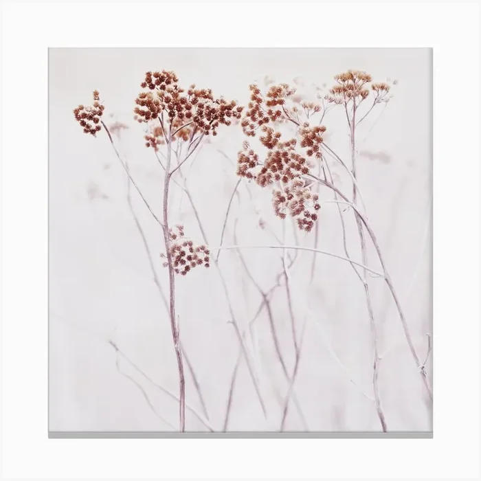 Wildflowers Iceland Square Canvas Print by Monika Strigel