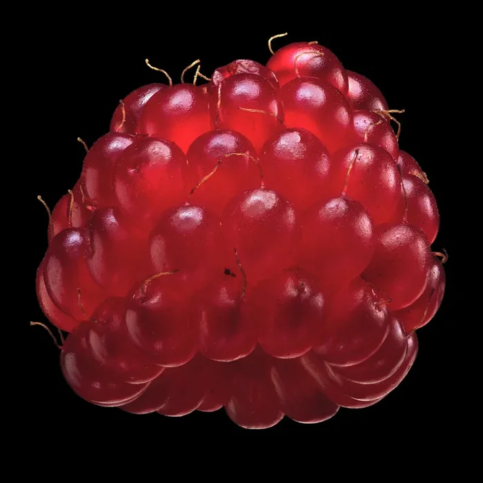 Wine Berry